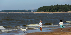 Полтора десятка пляжей ждут людей в Курортном районе Петербурга